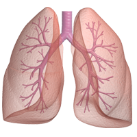 lung cancer
